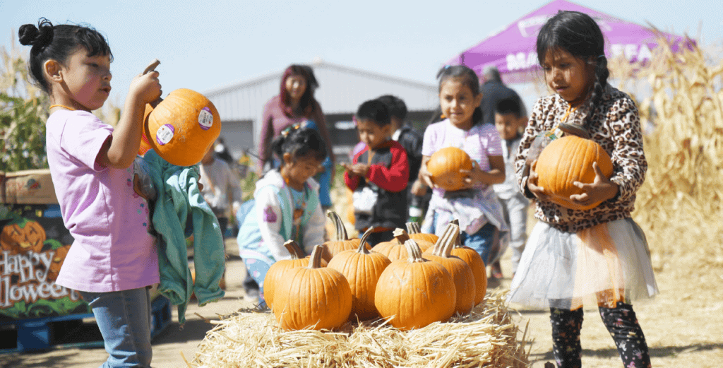 Photo - Madera Unified TKfirst grade students attend Madera FFA’s annual Ag Literacy Days event at Madera South High School and get to each pick out a pumpkin to take home. Madera FFA is hosting a pumpkin patch on campus for the community with a variety of pumpkins for sale, cash only.