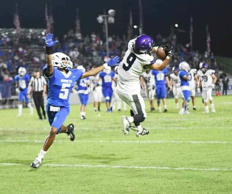 Shrinking Stallions fall to Hornets