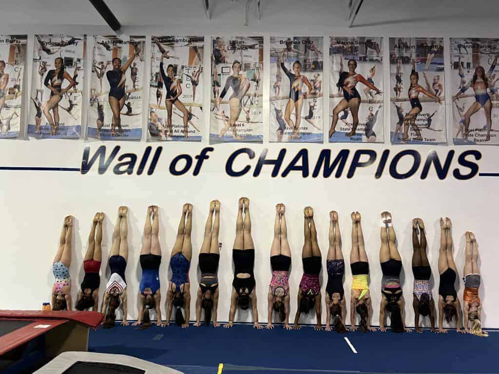 Photo - TEC gymnasts prepare for today’s Wild About Gymnastics meet at TEC Gymnastics (528 Noble Street). There will be three sessions, beginning at 8:30 a.m.
