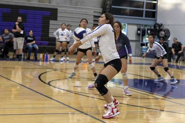 Stallion start off season right with win