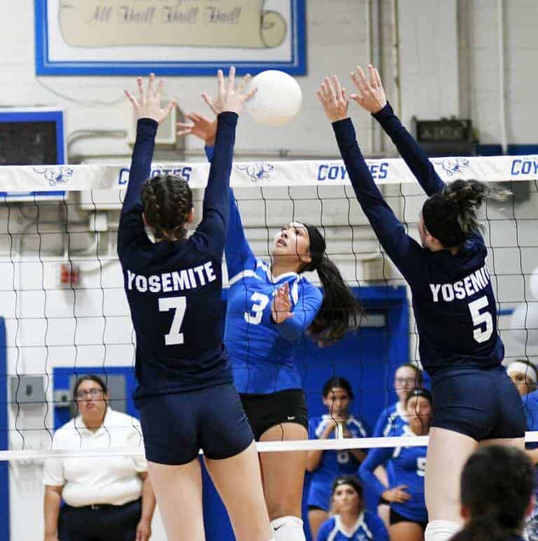 Coyotes bounced in straight sets