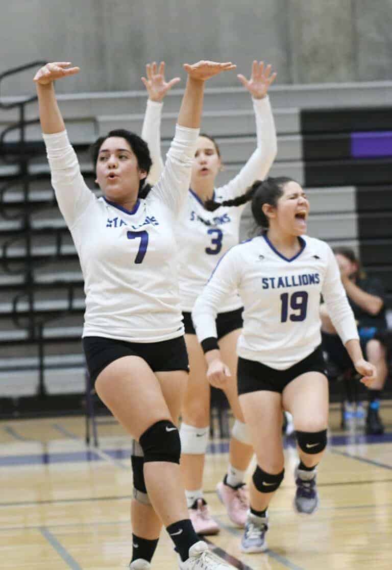 Stallions fall to top-ranked opponent