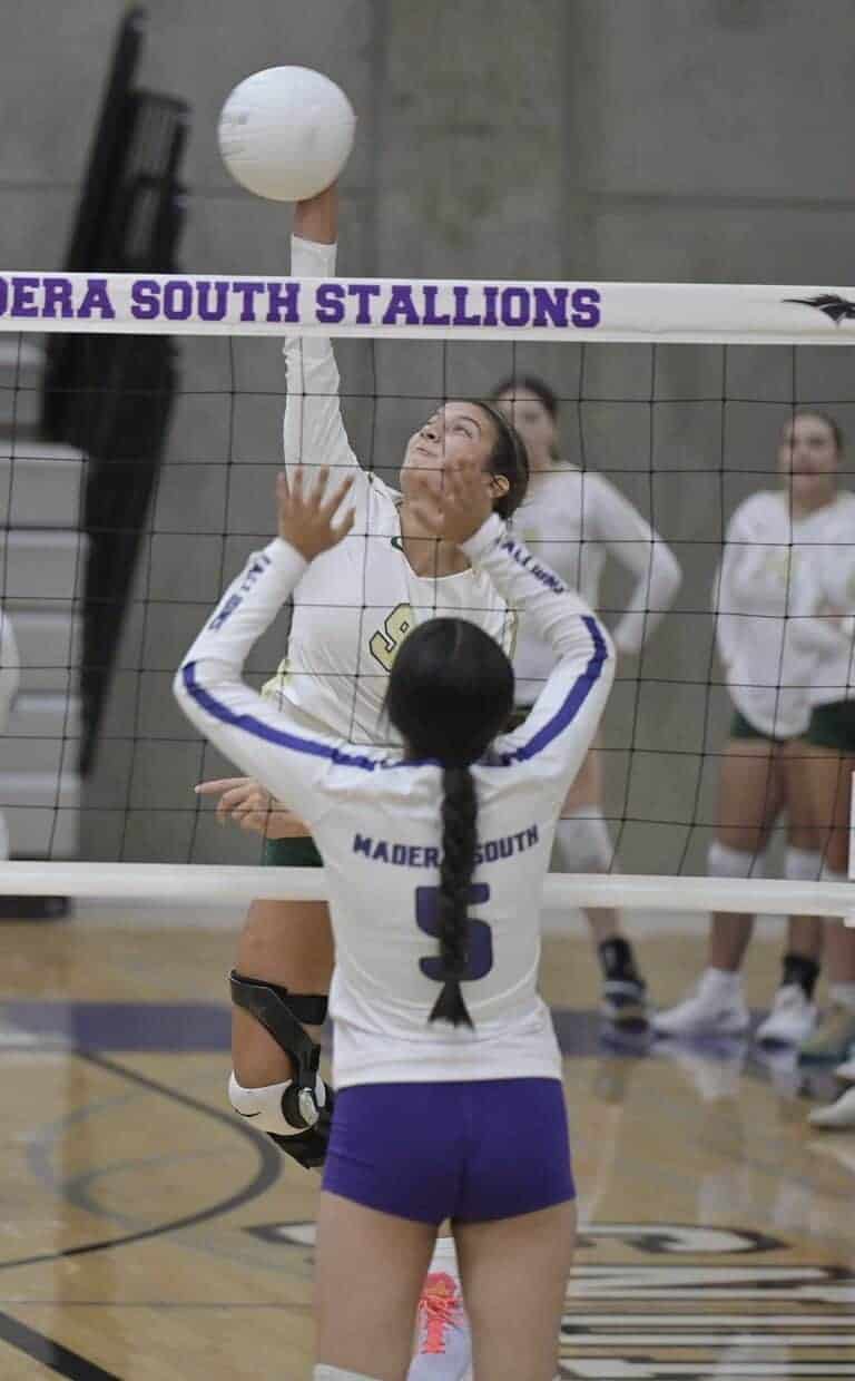 Liberty gets volleyball sweep of Stallions