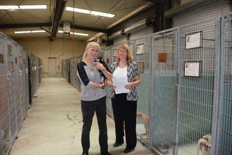 Spay-neuter program draws concern