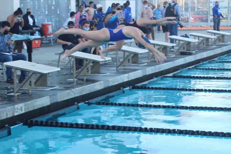 Stallions, Coyotes open swim season