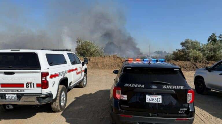 Arrest made in wildfire arson