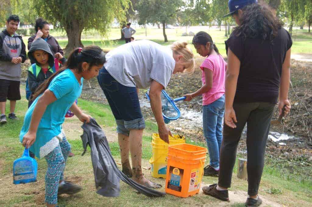 Photo - Upset by hundreds of goldfish out of water at Lions Town and Country Park on Friday, children of all ages attempted to help the hundreds of flopping, gasping fish as they flopped and struggled in the puddles and thick mud.