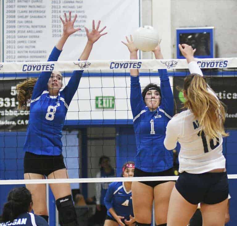 Coyotes remain perfect in CMAC