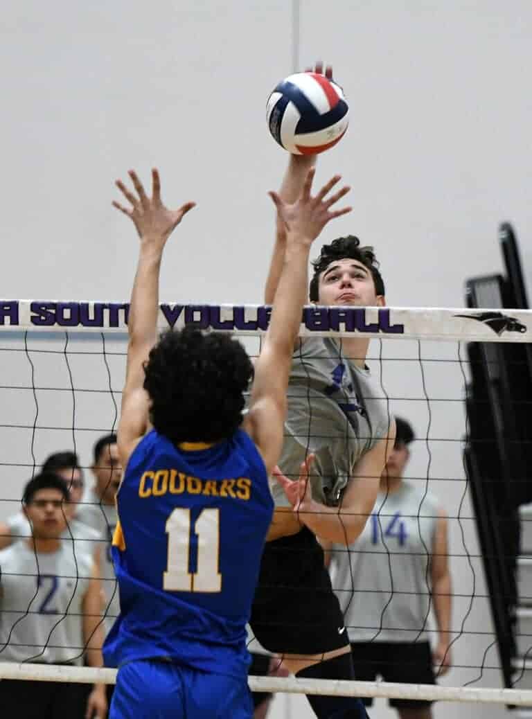 Stallions’ volleyball falls in four to Cougars