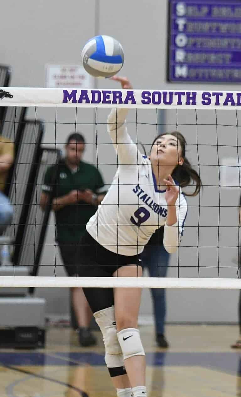 Stallions overtake Toros