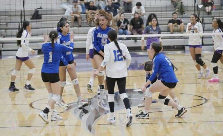 Coyotes sweep past Stallions