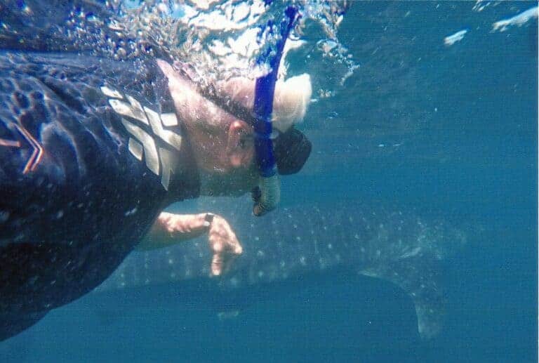 Travel: Maderan greets whale sharks underwater