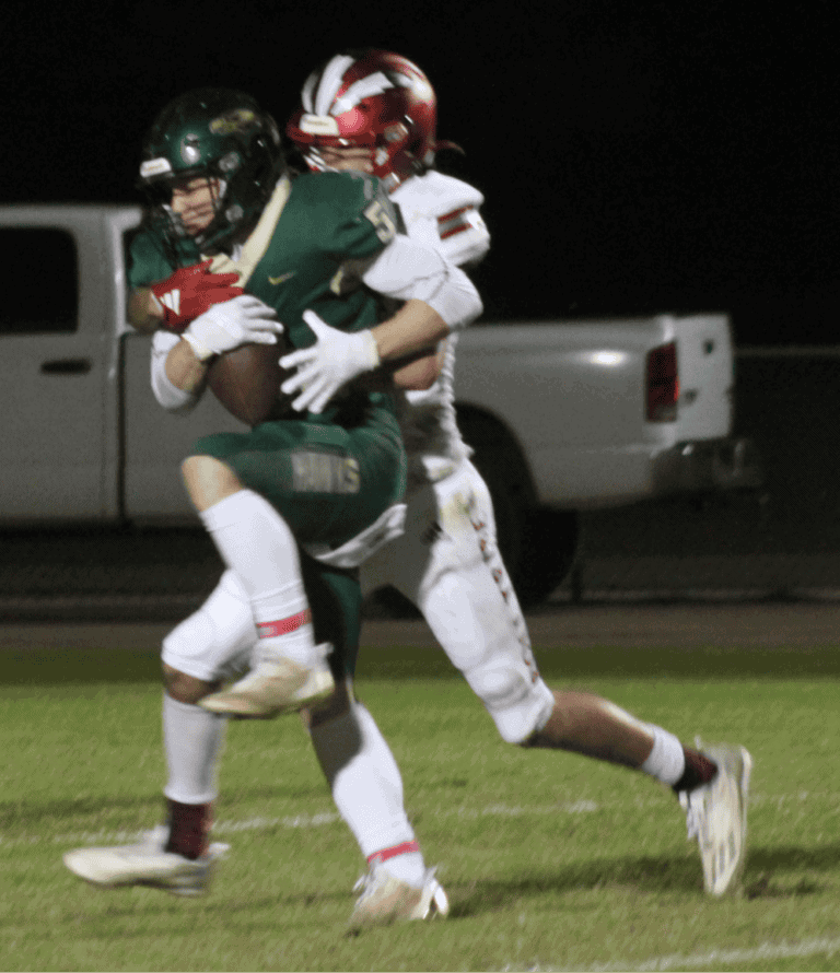 Hawks fall in chance for first place in NWSC