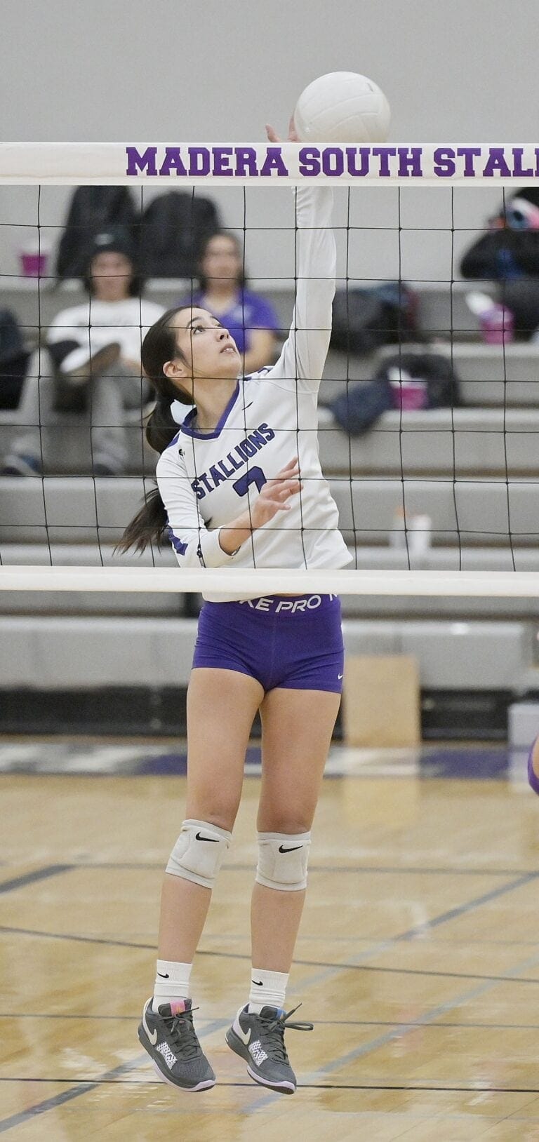 Stallions fall in final match