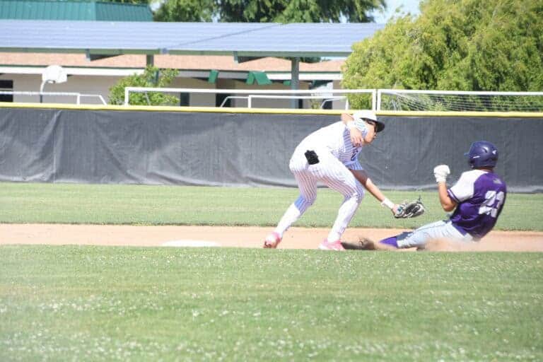 Stallions fall big to Warriors