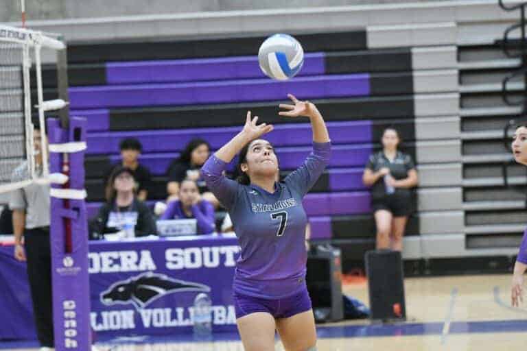 Stallions fall to better Hoover in three sets