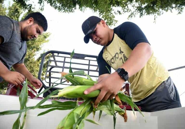 Madera South’s corn sells out