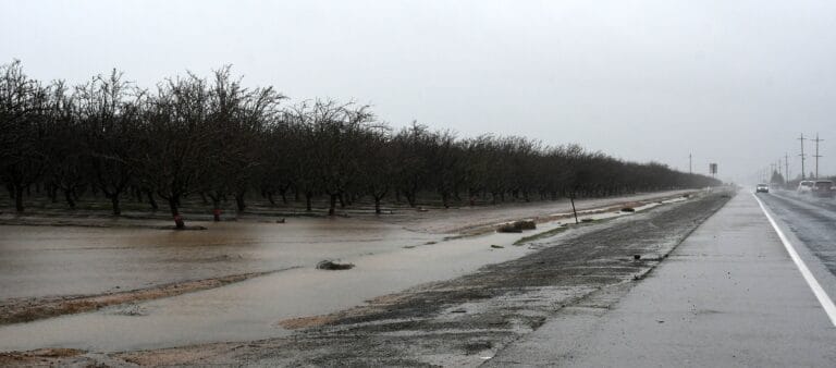Rain keeps farmers happy