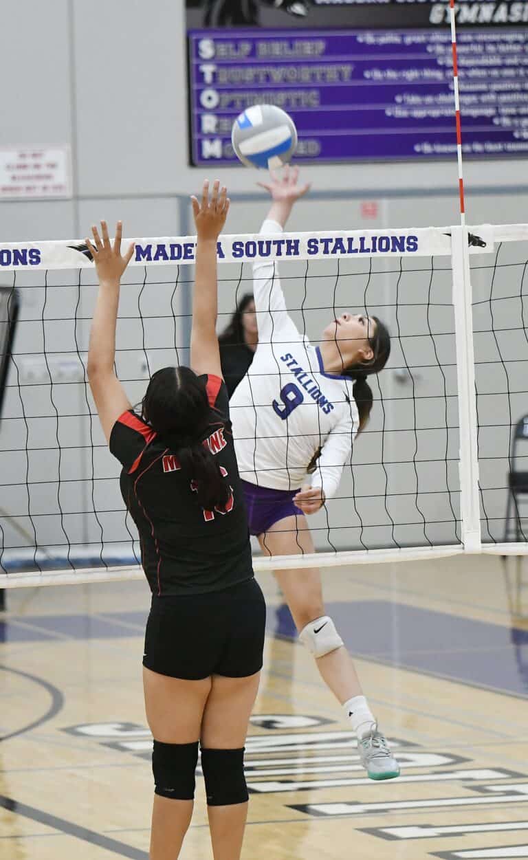 Stallions cruise to NYL volleyball victory