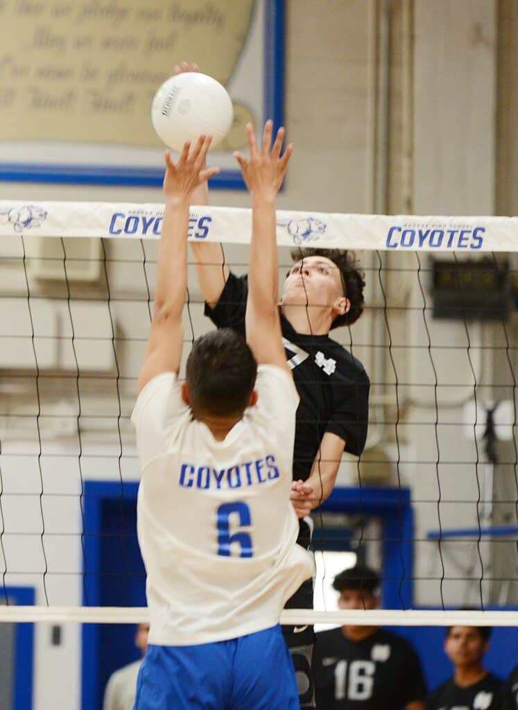 Volleyball player spiking ball at Madera high school match.
