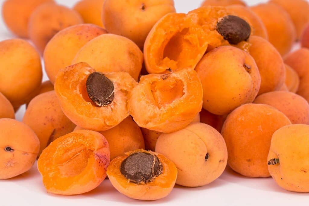 Apricots with chocolate chips, fresh and ripe, on a white background.