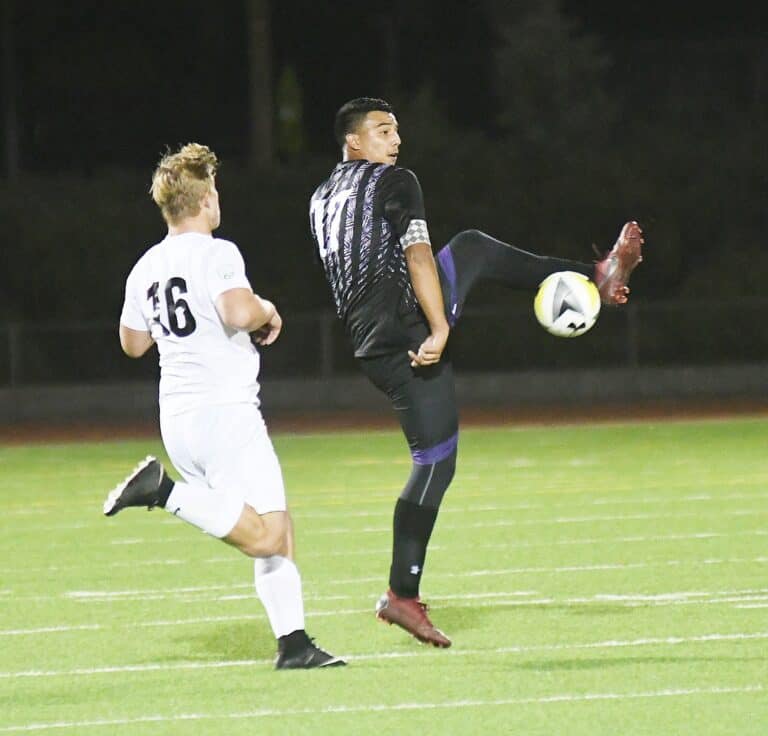 Stallions fall to first half goal from Broncos