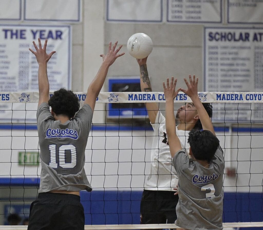 Madera High volleyball players blocking at the net during a game.