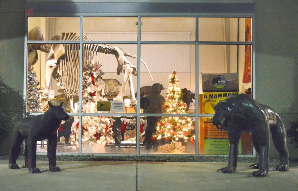 Animal display with Christmas trees and animal statues at Madera County.