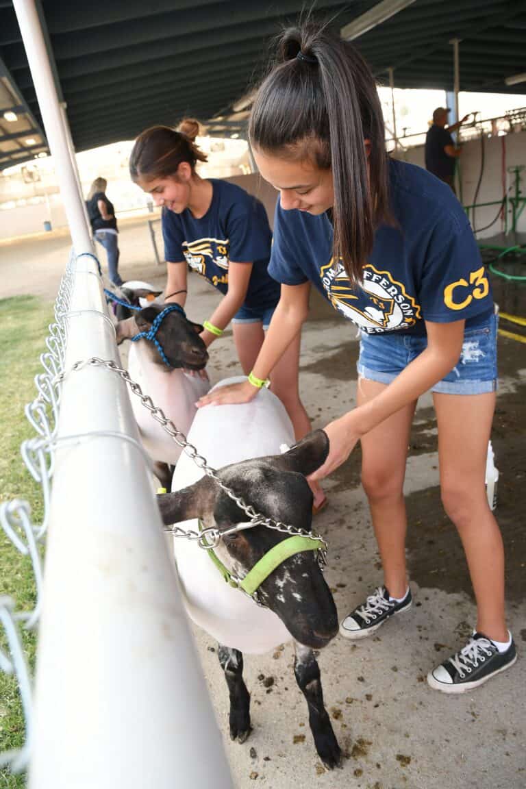 Readers talk district fair, politics