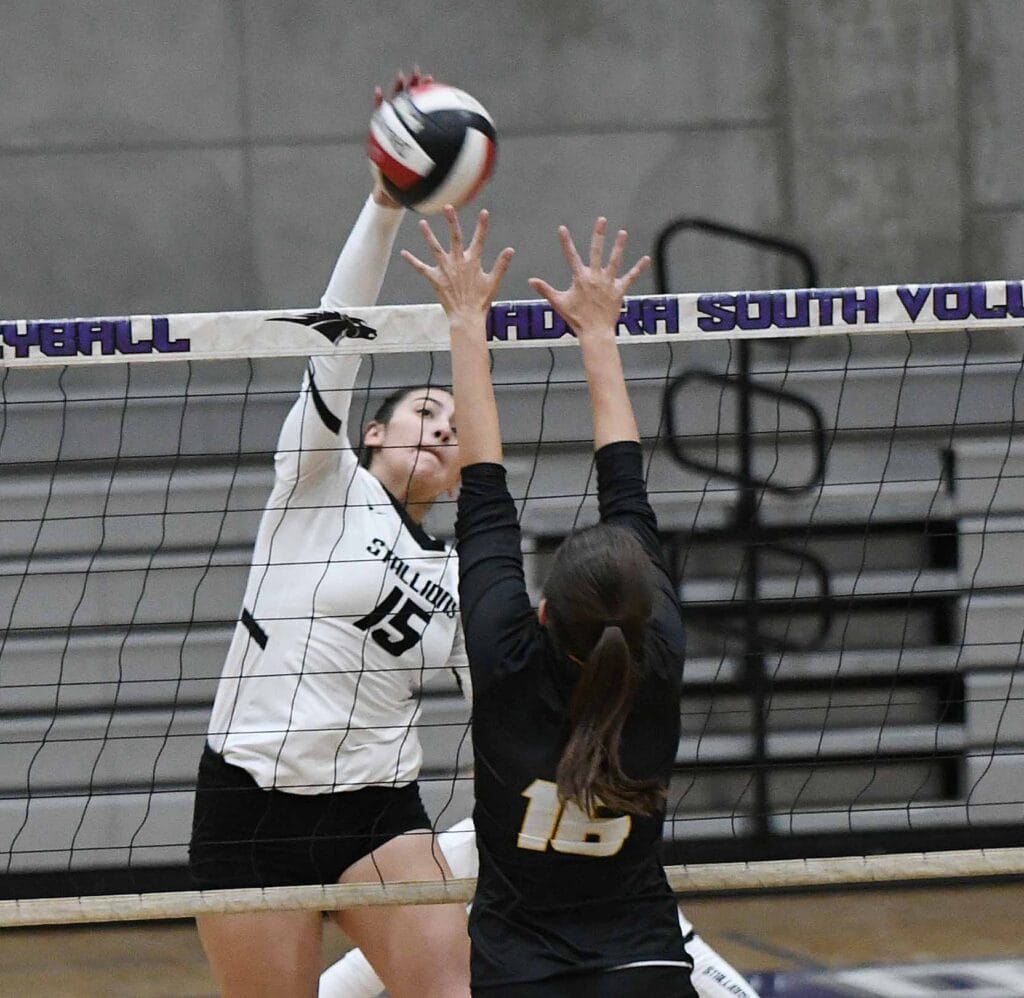Volleyball player spiking the ball over the net during a match.