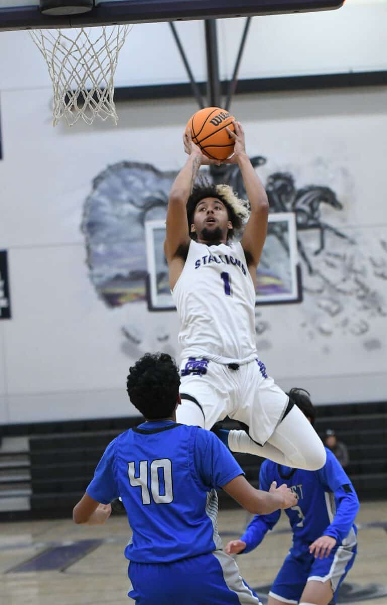 Two quarter surge lifts Stallions