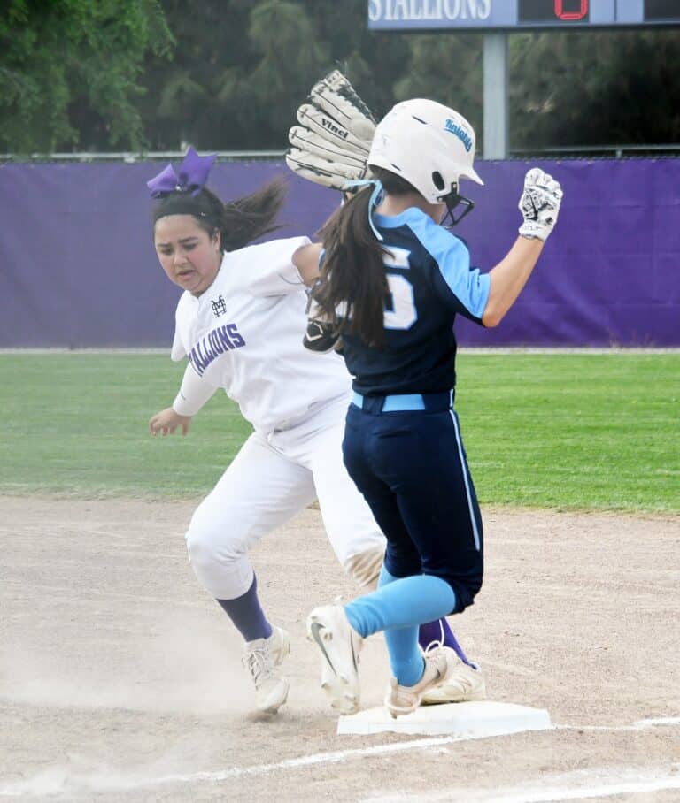 Stallions show fight in first league game