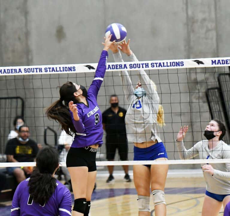 Stallions make quick work of Coyotes