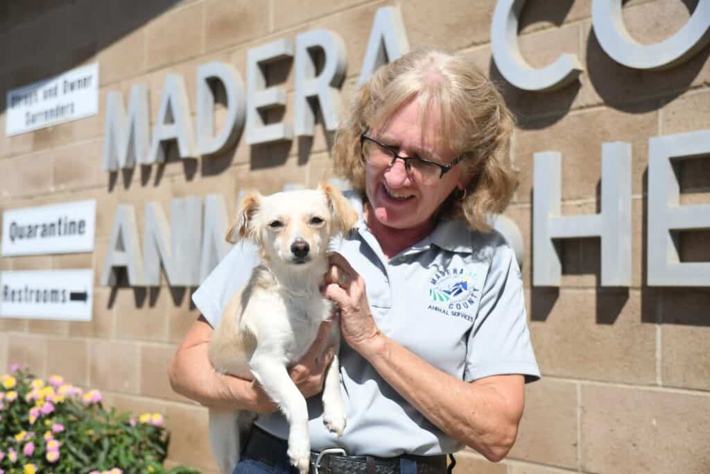 Dog adoption at Madera County Animal Shelter in California.