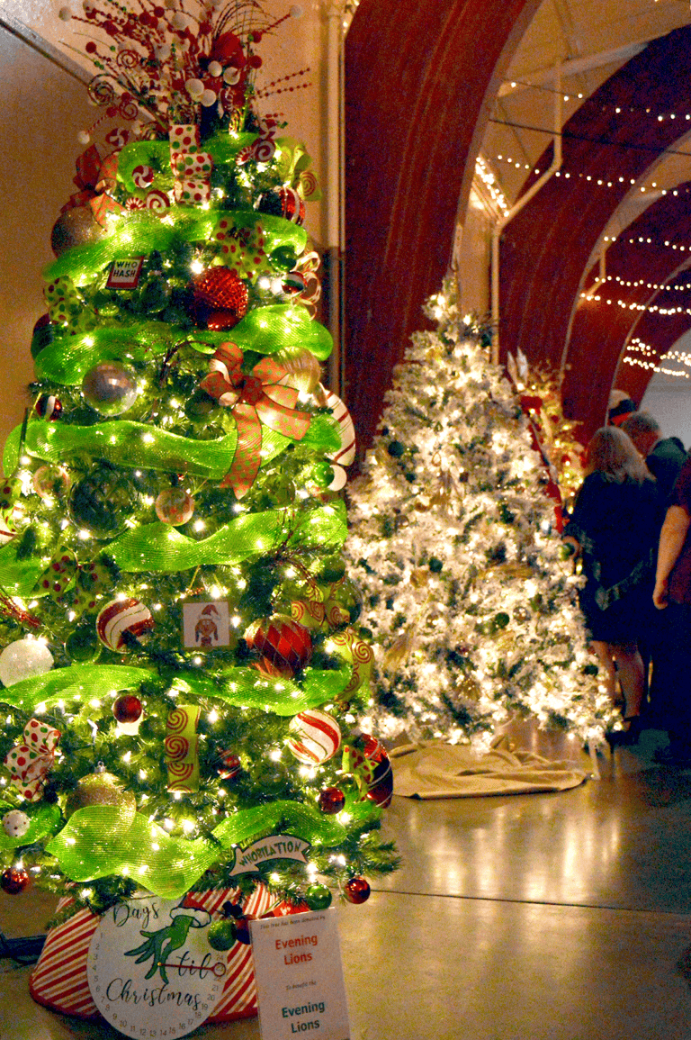 Madera Sunrise Rotary preps for Trees for Charity