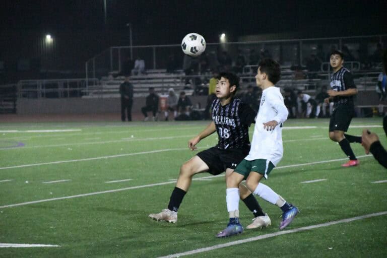 Stallions drop close match at home