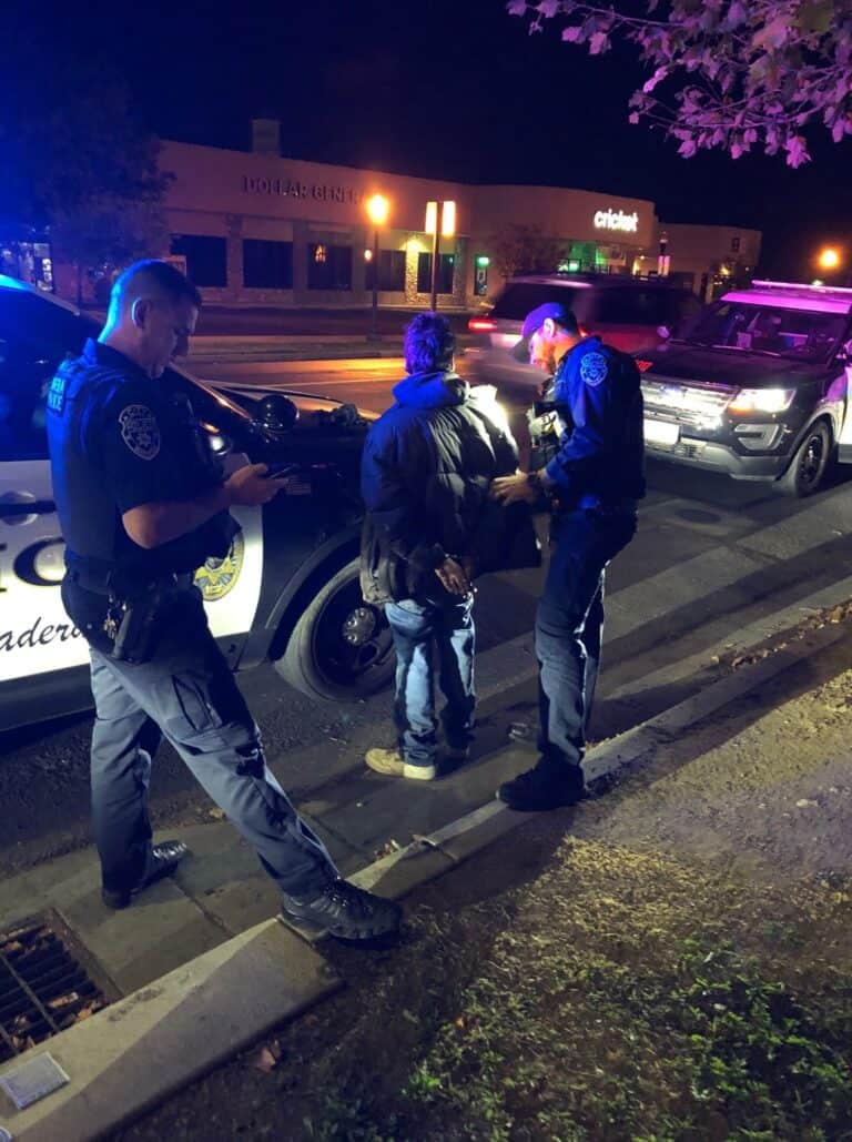 Vandalism suspect detained