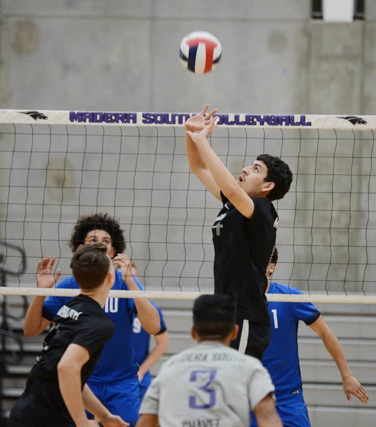 Coyotes make it tougher for Stallions