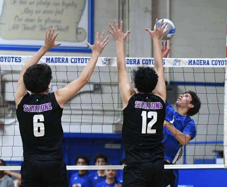 Coyotes pick up rivalry win
