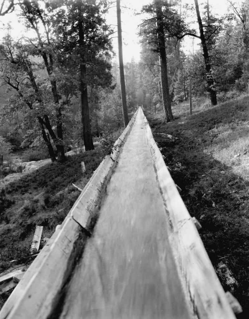 Wooden water slide in forest, black and white photo.