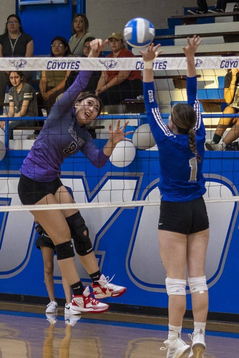 Stallions sweep inexperienced Coyotes, open 2-0