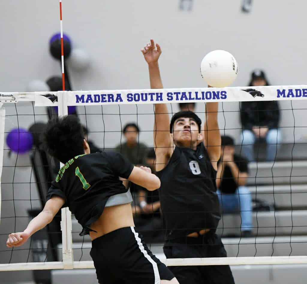 Madera South volleyball player spiking ball at the net during match.