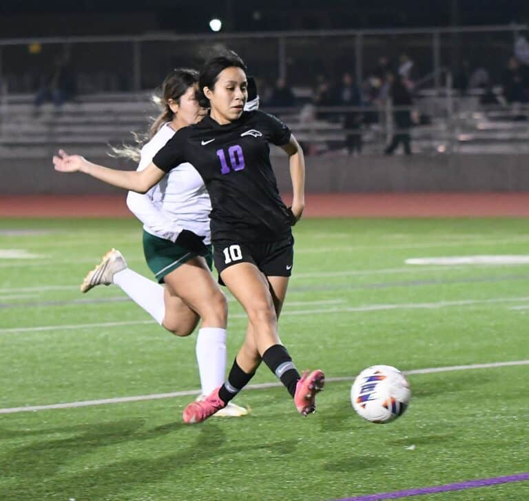 Stallions rout Hoover in NYL
