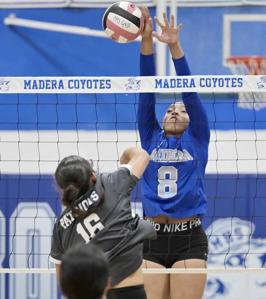 Madera Coyotes volleyball player blocking at the net during a match.
