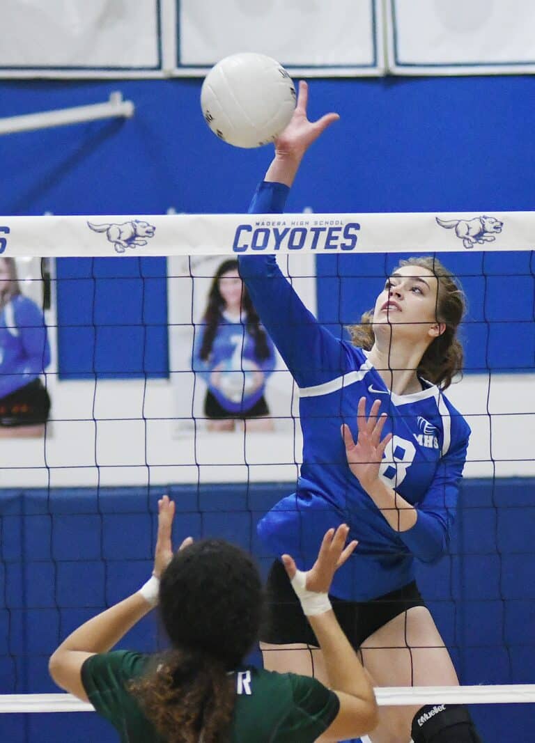 Fall All-League