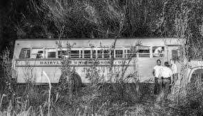 Vintage bus parked in a grassy area with trees in the background.