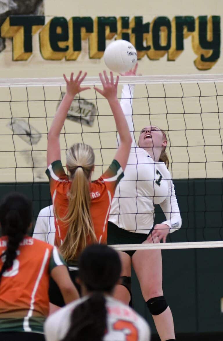 No. 2 Hawks advance to semifinal match