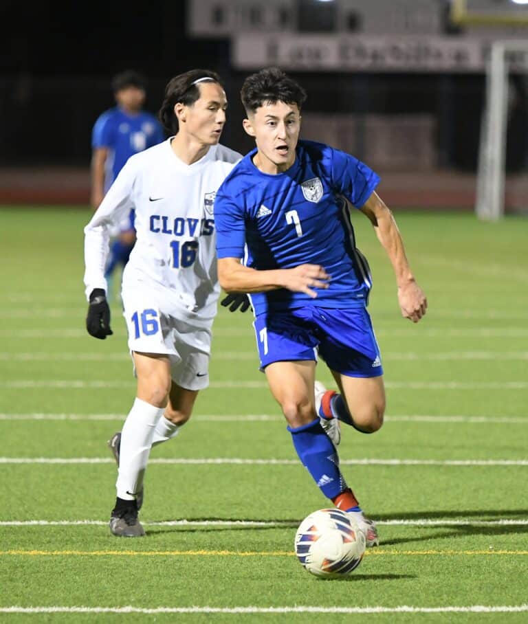 Coyotes mauled by Cougars