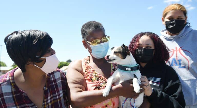 Animal Services reunites lost dog with its owner