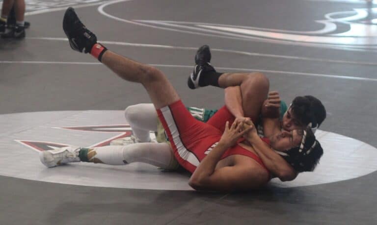 Four wrestlers advance to Master’s for Hawks